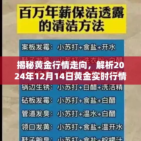 揭秘黄金行情走向，2024年黄金实时行情预测解析（针对日期，2024年12月14日）