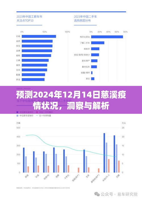 慈溪疫情未来展望，洞察与解析，预测至2024年12月14日状况分析