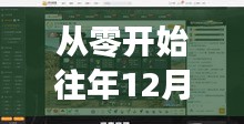 从零开始，历年12月14日实时类视频制作全攻略——初学者与进阶用户必看指南