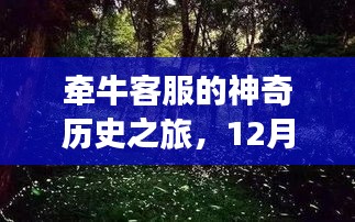 牵牛客服的神奇历史与自然美景探索之旅，12月14日探秘之旅