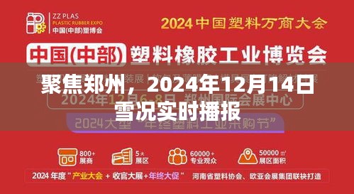 郑州雪况实时播报，聚焦2024年12月14日的雪况更新