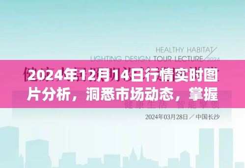 洞悉市场先机，2024年12月14日行情实时图片分析与投资洞察