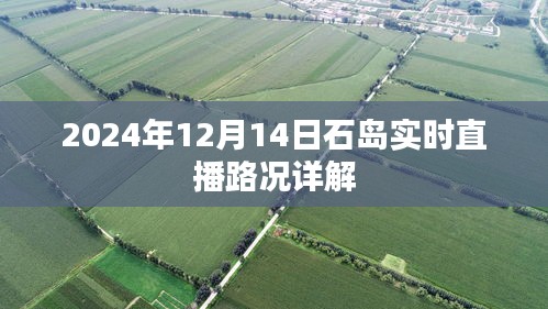 2024年12月14日石岛实时直播路况全面解析