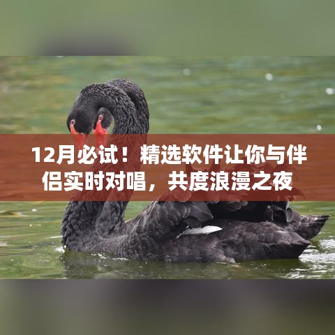 12月精选软件，实时对唱，共度浪漫之夜