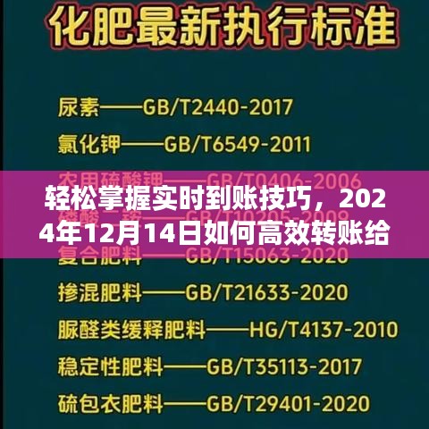 掌握实时到账技巧，高效转账指南（至2024年12月）