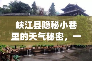 峡江县隐秘小巷里的天气预报魅力，一家特色小店带你领略独特风情