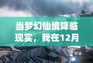 梦幻仙境降临现实，我在心灵觉醒的自然之旅（12月14日）