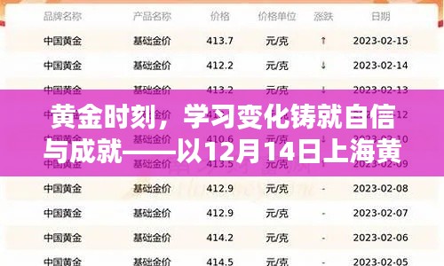 黄金时刻，学习变化铸就自信与成就——上海黄金实时价格的启示（12月14日）