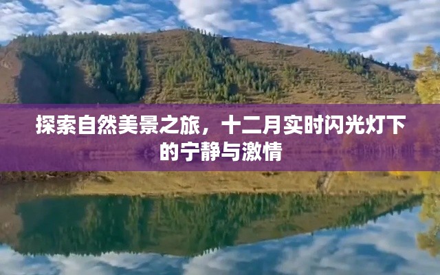 十二月自然探索之旅，闪光灯下的宁静与激情瞬间