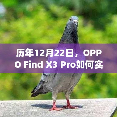 OPPO Find X3 Pro实时翻译功能新突破，历年12月22日的进化之路