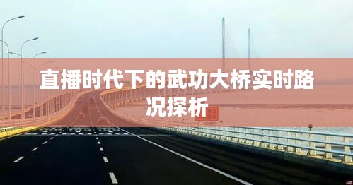 直播时代武功大桥实时路况探析