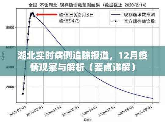 湖北实时病例追踪报道与疫情深度解析，12月观察报告（要点详解）