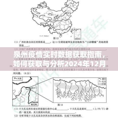 泉州疫情实时数据获取指南，获取并分析特定日期疫情数据的方法（XXXX年XX月XX日至XX月XX日）