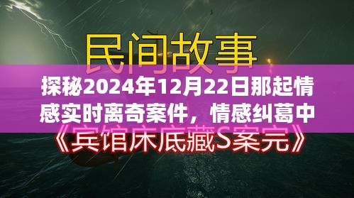 探秘情感纠葛迷雾，2024年离奇情感案件纪实解密