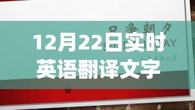 实时英语翻译技巧与实践案例解析，高效准确的翻译文字探索