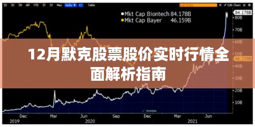 12月默克股票实时行情深度解析与指南