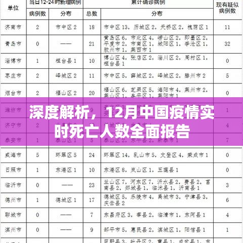 2024年12月25日 第17页