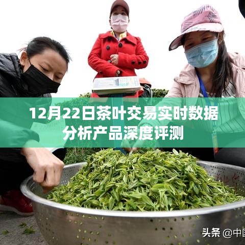 12月22日茶叶交易实时数据分析产品深度评测报告