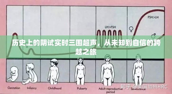 阴试实时三围超声的跨越之旅，从未知到自信的探索之旅