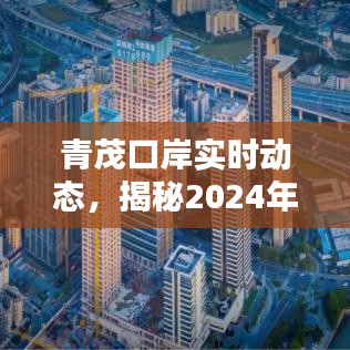 青茂口岸最新实时动态揭秘，2024年12月22日的现场实录