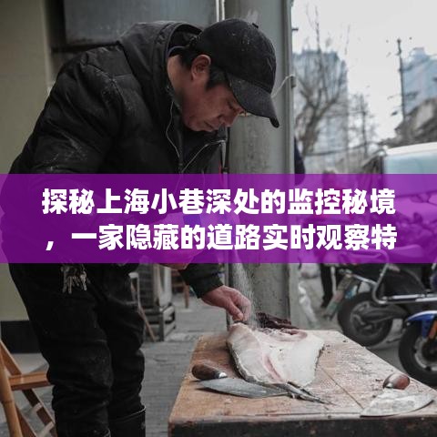 探秘上海小巷深处的监控秘境，特色小店实时观察道路动态