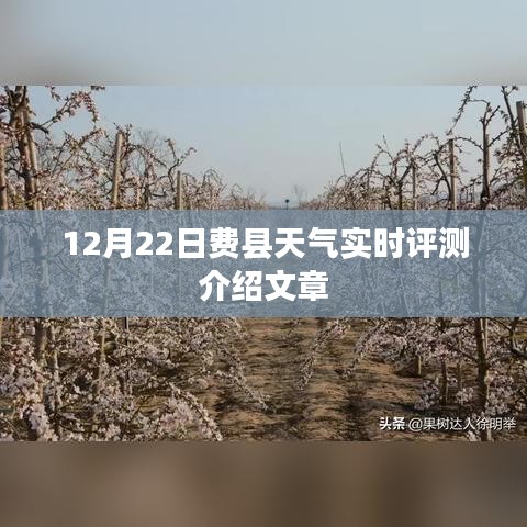 费县天气实时评测介绍文章，12月22日天气分析