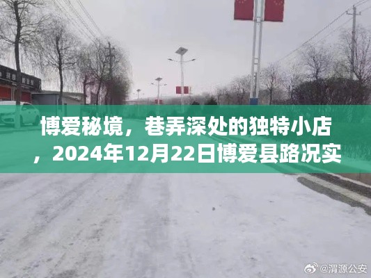 博爱秘境，巷弄小店新发现与路况实时直播报道