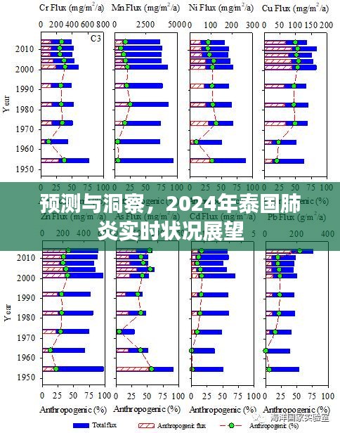 2024年泰国肺炎实时状况预测与洞察，展望实时状况发展