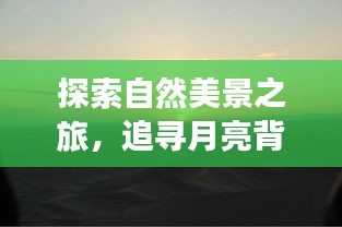 2024年12月28日 第10页