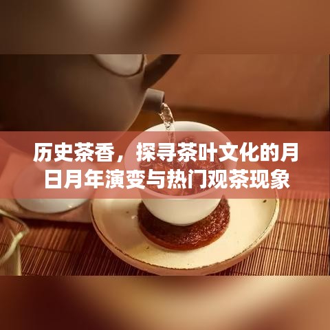 历史茶香探秘，茶叶文化的岁月演变与热门观茶风潮