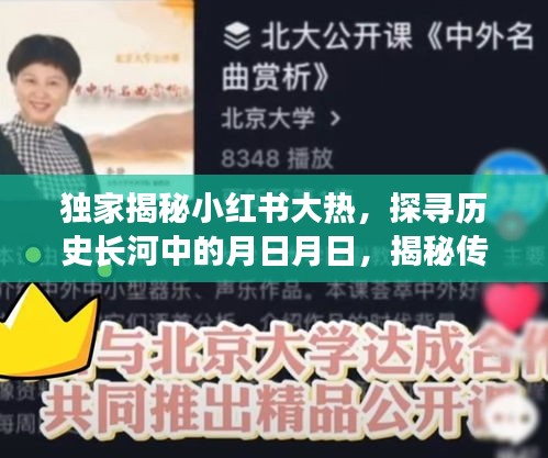 独家揭秘，小红书大热背后的秘密故事与传媒真相探索