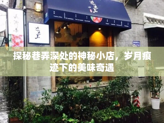 巷弄深处的神秘小店，探寻岁月痕迹下的美味奇遇