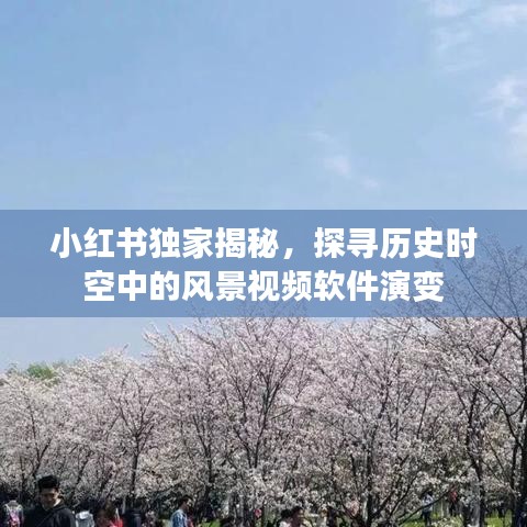 小红书独家揭秘，风景视频软件的时空演变之旅