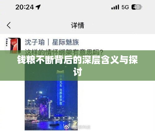 钱粮不断背后的深层含义与探讨