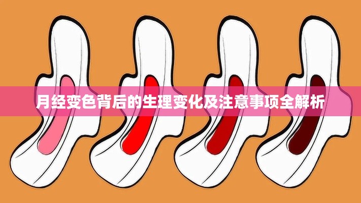 月经变色背后的生理变化及注意事项全解析