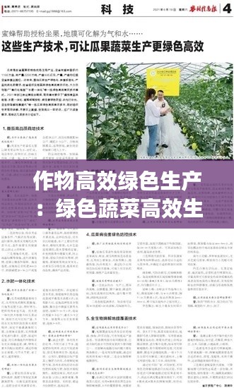 作物高效绿色生产：绿色蔬菜高效生产技术如何实现 