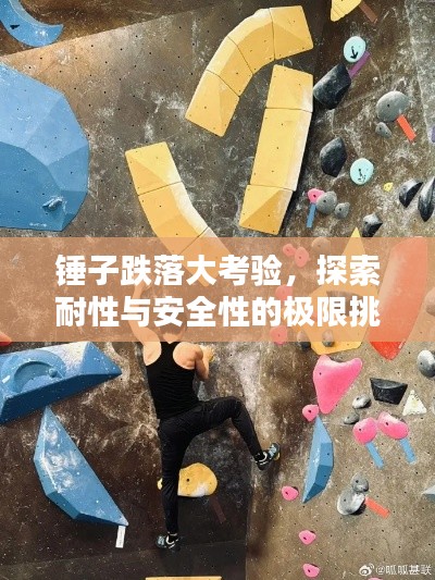 锤子跌落大考验，探索耐性与安全性的极限挑战