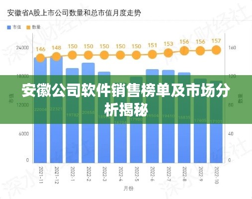 安徽公司软件销售榜单及市场分析揭秘