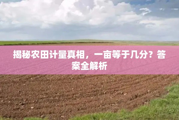 揭秘农田计量真相，一亩等于几分？答案全解析