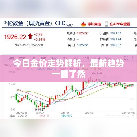 今日金价走势解析，最新趋势一目了然