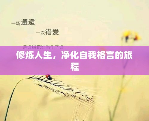 修炼人生，净化自我格言的旅程