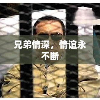 兄弟情深，情谊永不断