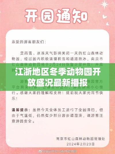 江浙地区冬季动物园开放盛况最新播报