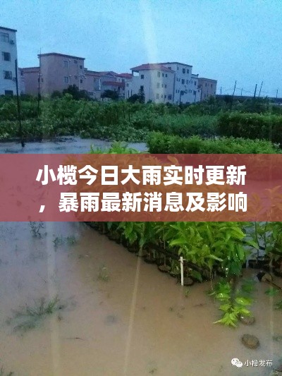 小榄今日大雨实时更新，暴雨最新消息及影响全解析