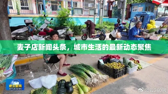 麦子店新闻头条，城市生活的最新动态聚焦