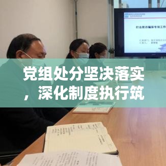 党组处分坚决落实，深化制度执行筑牢党的纪律防线