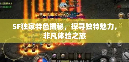 SF独家特色揭秘，探寻独特魅力，非凡体验之旅