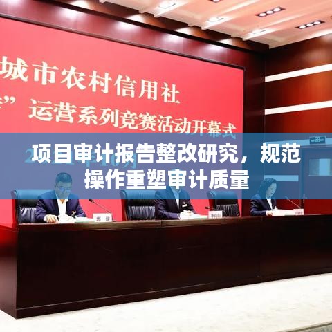 项目审计报告整改研究，规范操作重塑审计质量