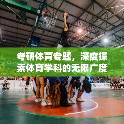 考研体育专题，深度探索体育学科的无限广度
