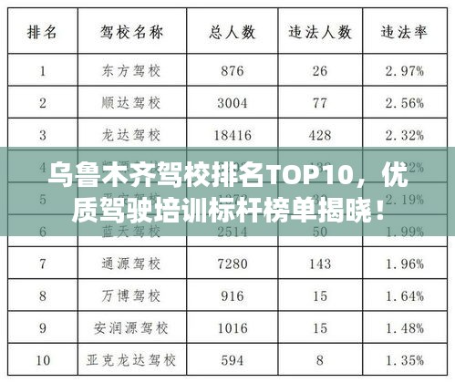 乌鲁木齐驾校排名TOP10，优质驾驶培训标杆榜单揭晓！